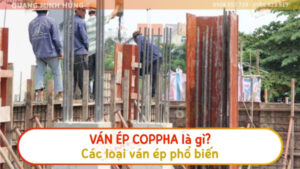 Ván ép coppha là gì? Các loại ván ép phổ biến